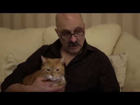 Healing Journeys, Week 2, Day 5 - Restored from near-fatal accident  - The Gospel Truth