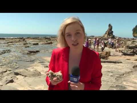 INVERLOCH FOSSILS