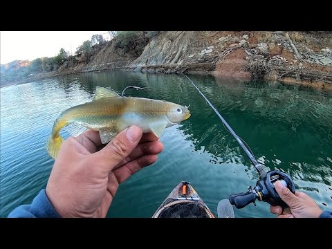 Fishing BIG BAITS ONLY (Viewer inspired)