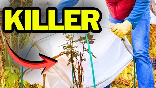 Stop Winterkill BEFORE It Happens: Why Burlap Might Be Killing Your Plants…