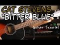 Cat Stevens - Bitter Blue - Guitar Lesson