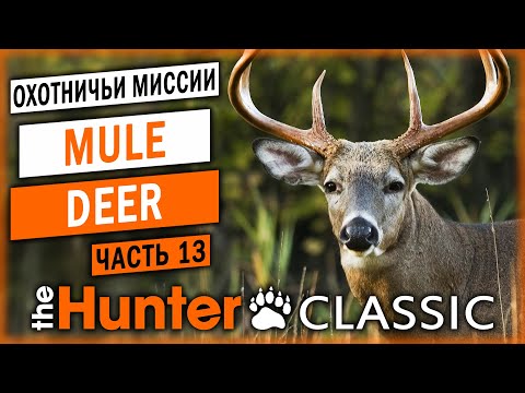 ОХОТА НА ЧЕРНОХВОСТОГО ОЛЕНЯ! | Охотничьи Миссии | theHunter Classic 🐻 | (часть 13)