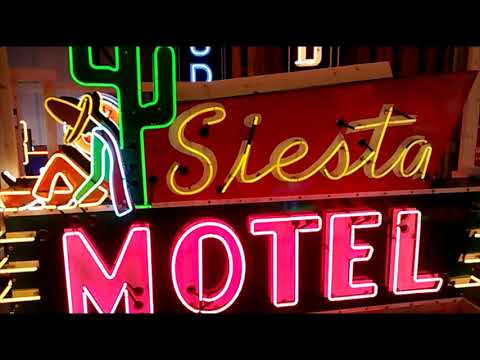 Animated Vintage Neon signs Walker sign collection Mobile Pegasus Dog and Suds Howard Johnson Motel