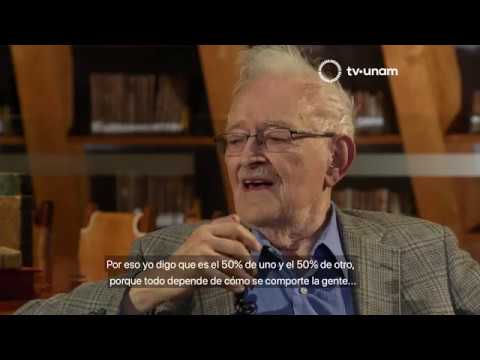 Immanuel Wallerstein: quién fue, biografía, teorías, obras y citas