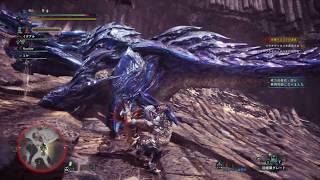 [MHWI] 再び新たな大陸へ [雑談プレイ] Part12 ガンキン爆発四散