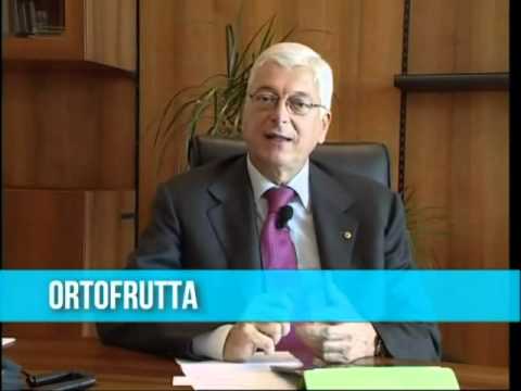 Sommario 28 puntata 2011-12