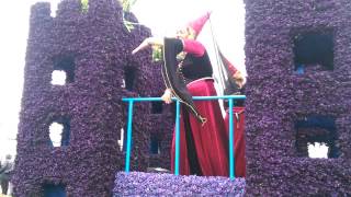 VIDEO0205