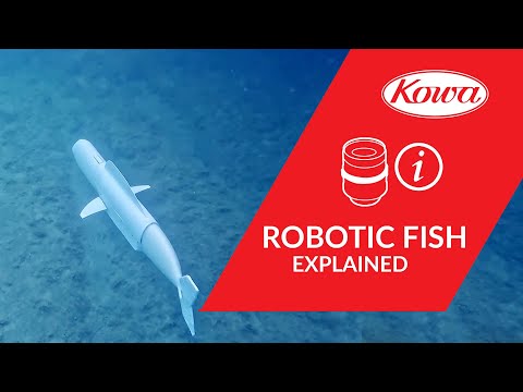 Kowa Expert Interview: Robotic Fish with Vision System