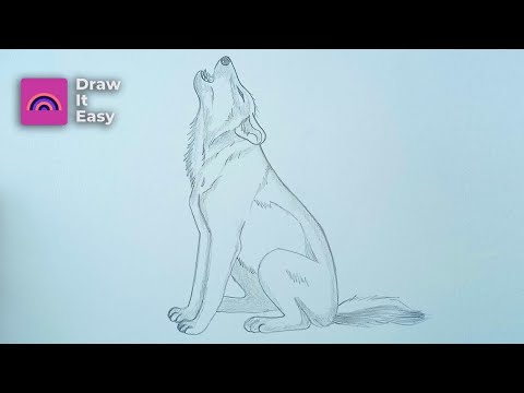 Online classes: How to Draw a Howling Wolf Step by Step
