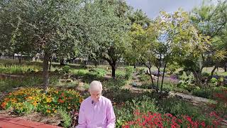 Episode 7: Healing Loneliness