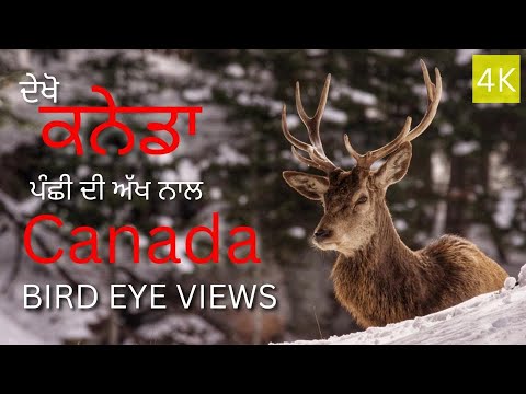 Entire Canada 🇨🇦 | Bird's eye view | 4k 60fps