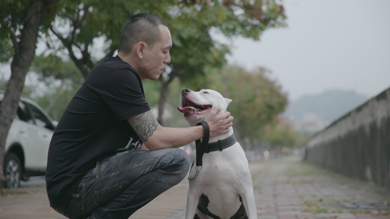 玖壹壹《8+9》紀錄片MV 春風爆料走音最嚴重的是O