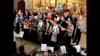 preview picture of video 'NUNCA SUENAN LAS CAMPANAS - Coro Parroquial de Torralba del Río (Navarra)'
