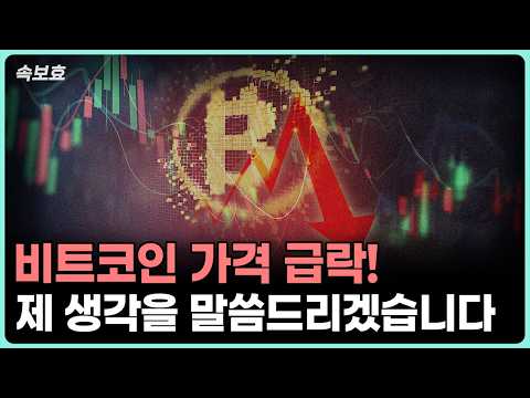 비트코인 급락의 이유와 투자 전략