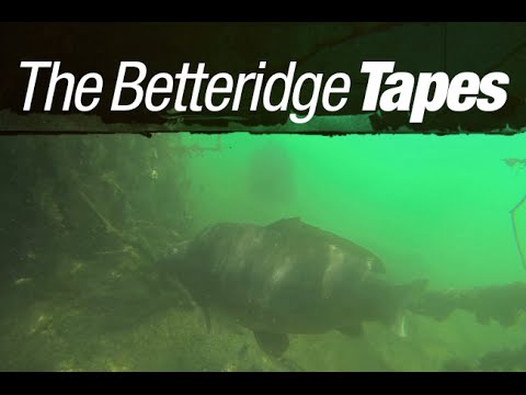 The Betteridge Tapes - Live from Gigantica