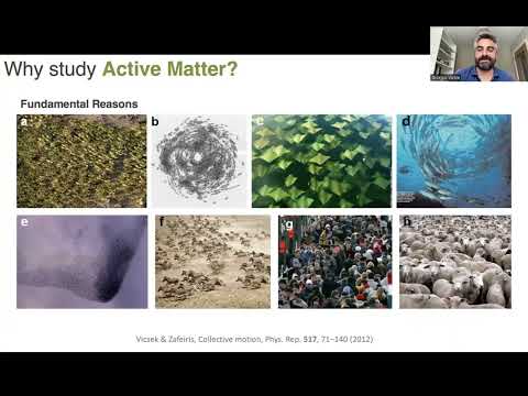 Emergence in the interaction of active and passive particles | Prof. Giorgio Volpe | #ucl #iiserpune