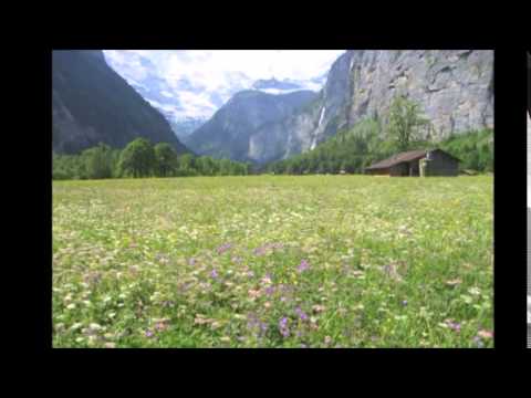 Jung Conference Optional Excursions - Mary Roemer