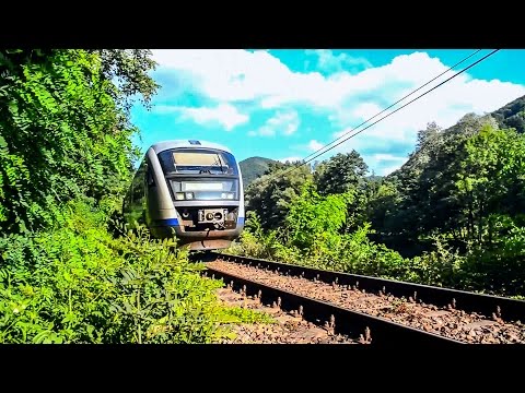 Trenuri / Trains in Bihor County Vol.20 - Bratca - Bulz (10 08 2014)