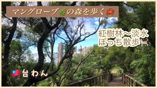 🇹🇼台湾暮らし【紅樹林〜淡水ぼっち散歩/マングローブ🌿🦀と夕暮れ坂の🐈】自分を労われるのは、自分❤️‍🩹