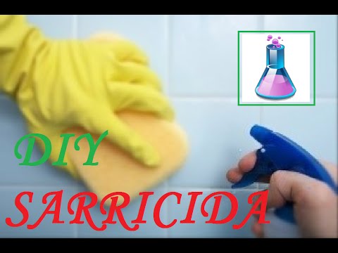Antical O Antisarro