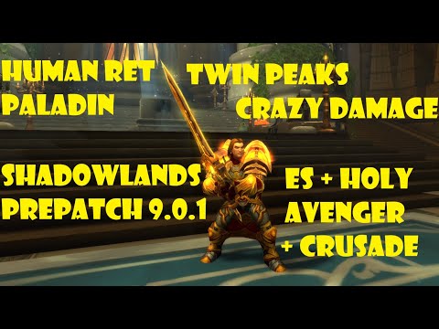 Human Ret Paladin PVP BG 9.0.1 - Crazy Damage with Execution Sentence+ Crusade + Holy Avenger Build!