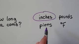 Grade 2 Math  8.13, Problem solving, Choosing reasonable answers