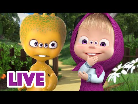 🔴 EN DIRECT 🐻👱🏻♀️ Masha et Miсhka ✨ Profitez de votre curiosité 👽☄️ Masha and the Bear