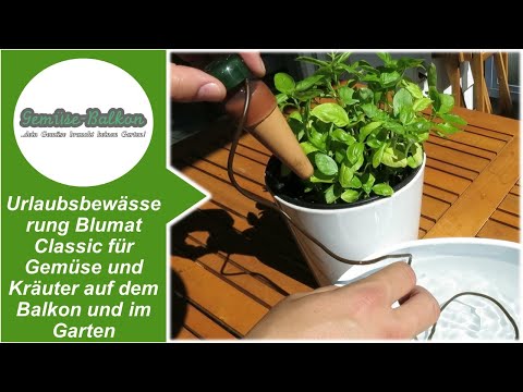 Urlaubsbewässerung Blumat Classic 🌊 für Gemüse und Kräuter auf dem Balkon und im Garten 🧑‍🌾