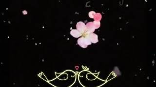 Download lagu Video romantis dan kekinian banget [ vivavideo ] 2018 mp3