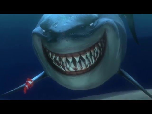 Finding Nemo- Shark Scene- Bruce