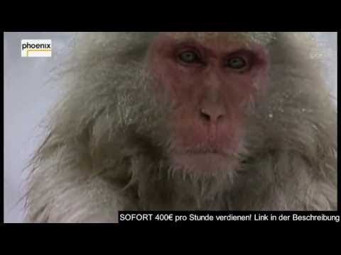 Die seltensten Tiere der Welt (Doku)