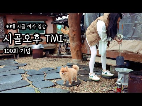 촬영은 누가 해주는가, 의상은 왜 그런가ㅣ길고양이에서 집냥이 되기까지 돼지 특별편