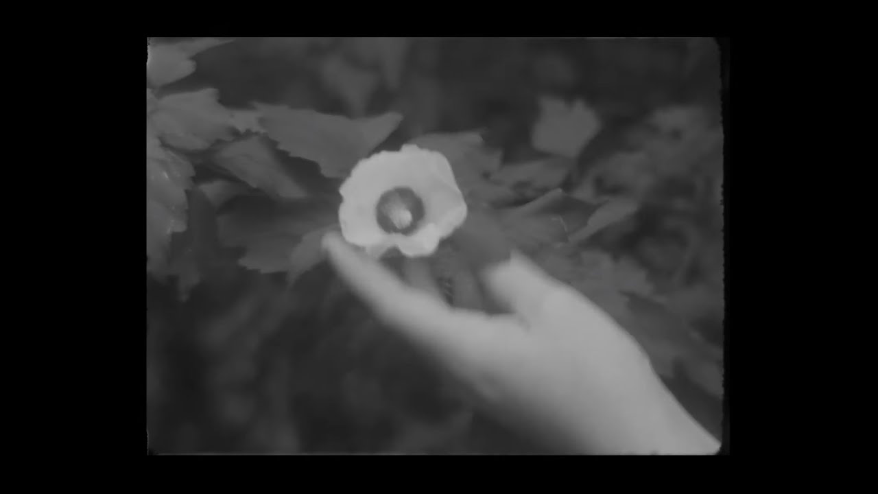 和訳 True Love Hovvdy の歌詞と日本語の意味をわかりやすく掲載 Lyriq 洋楽と 出会おう