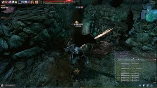 신규일던 및 레이드 허크 솔플