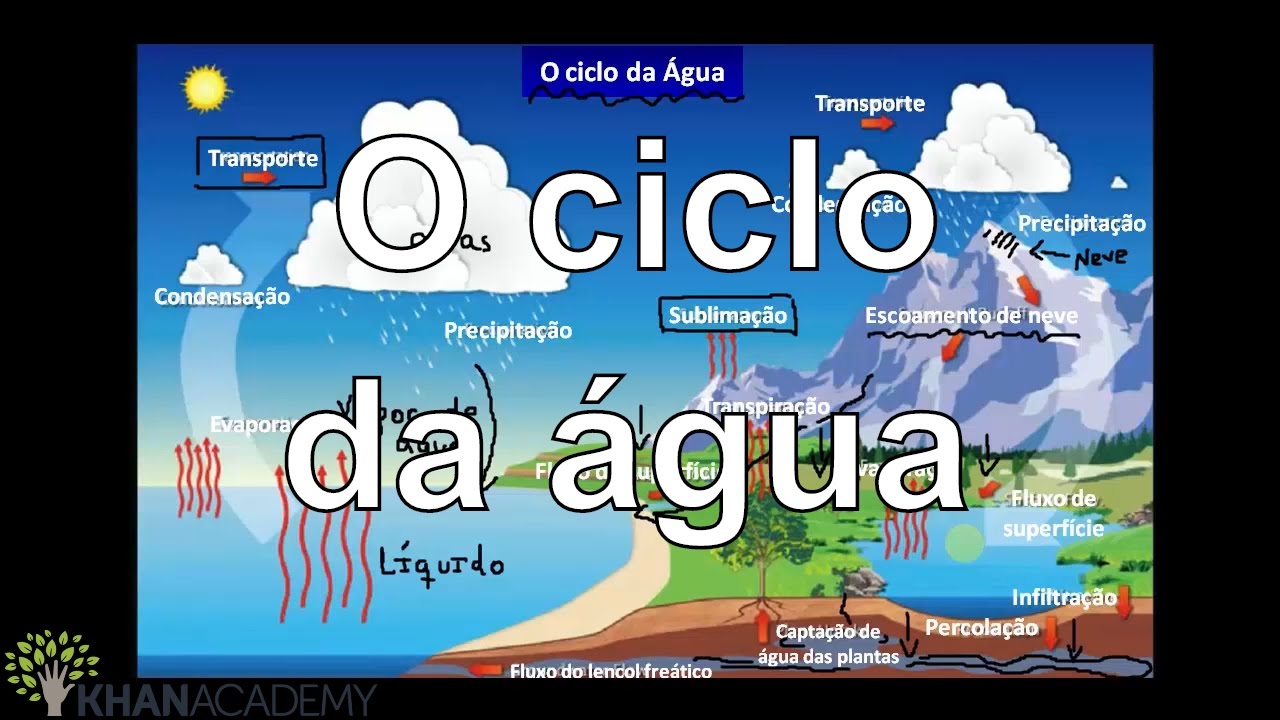 O ciclo da água | Ecologia | Biologia | Khan Academy