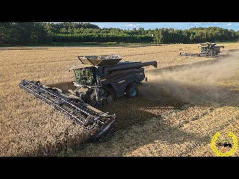 Fendt Ideal 10T und 9T | 2 X Fendt 728 Vario | 13 und 12 Meter MacDon Schneidwerk | Roggen Dreschen