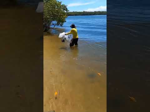 Verão no Litoral norte da Bahia. Barra do Jacuipe #natureza #rio #pescador #sol