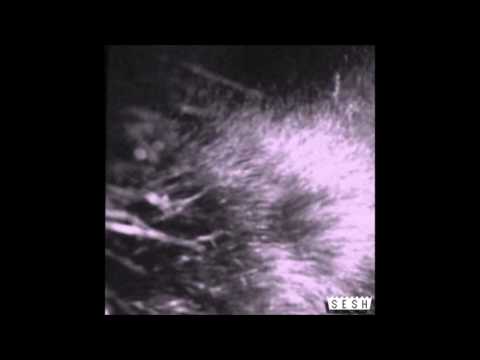 05. Kodyak - Sosi - Branching