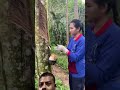 রাবার বাগান মালয়েশিয়া প্রবাসীদের Ban
