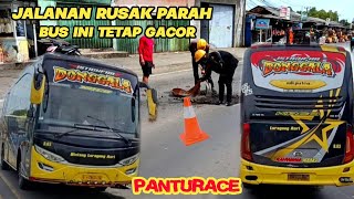 Download lagu Moment Ngeblonk kanan‼️Bus Luragung Donggala kreo ngejos kanan di jalan Pantura  mp3