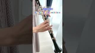 Download lagu N.Rimsky-KorsakovFlight of the Bumblebee  #clarinet #shorts #クラリネット mp3