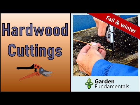 , title : 'Propagating Hardwood Cuttings 🍂❄️🍂 Easy in Fall & Winter'