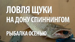 Рыбалка на дону в вешенской