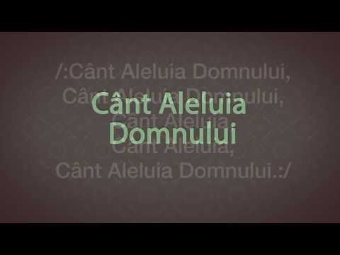 Cant Aleluia Domnului