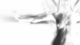 Flowers - Antimatter (cover)