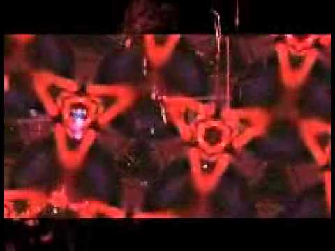 666 Seconds Of Giant Swan