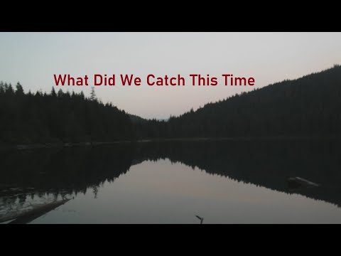 Video Thumbnail for What Did We Catch This Time