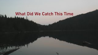 What Did We Catch This Time