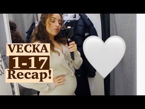 VLOGG ||  Gravidvecka 1-17 + Malmö!