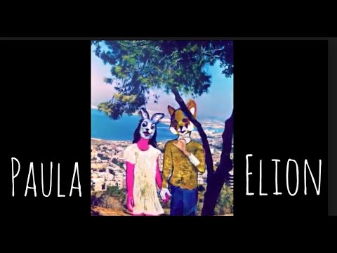 Paula Elion — VSG Presentation